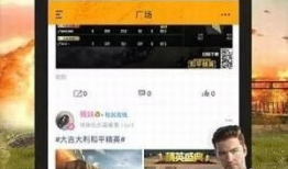 91直播和平精英,揭秘和平精英精彩瞬间