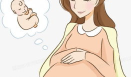 和孕妇漫画,漫画中的温馨瞬间